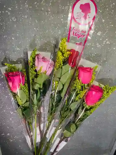 Solitarios Con Rosas