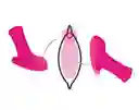 Vibrador Lovense Ambi Fucsia Silicona