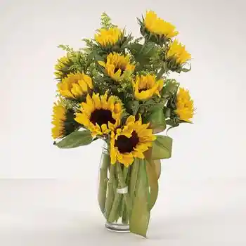 Bouquet De Girasoles Mini