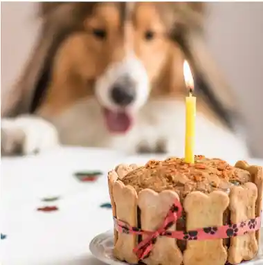 Torta Cumple Clásica Chef