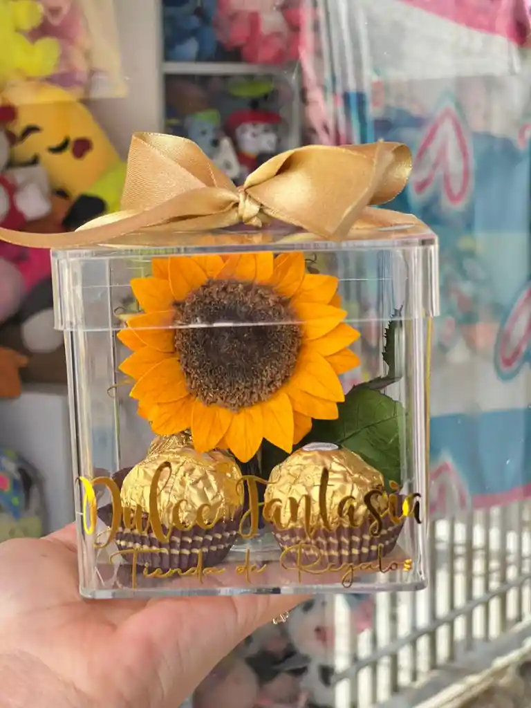 Cofre Minigirasol Preservado