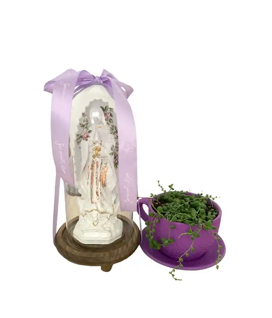 Virgen En Urna Y Planta Suculenta En Matera Pocillo Para Mamá