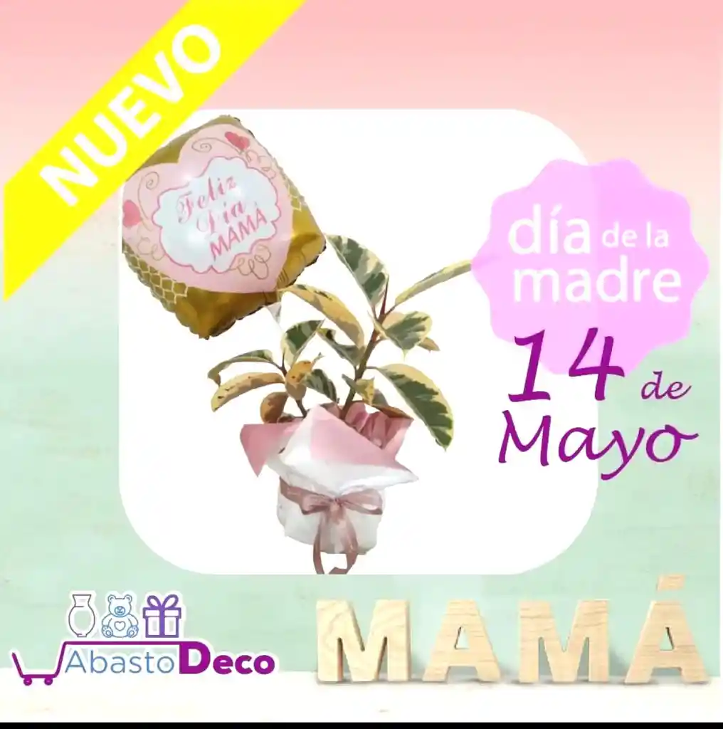 Planta Caucho Y Globo Feliz Día Mamá