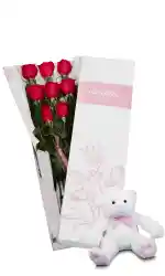 Rosas Rojas X 10 En Caja Rosada + Oso Don Eloy