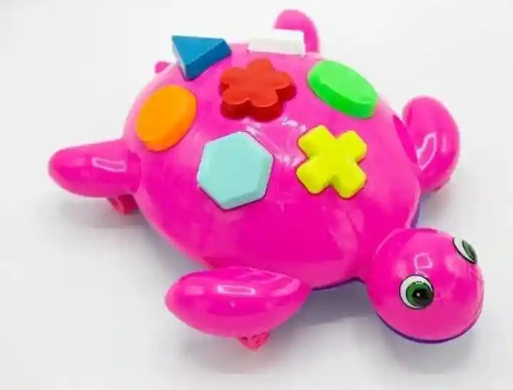 Tortuga Didáctica Para Encajar Fichas En Color Fucsia..