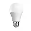 Bombillo Led 12w Luz Blanca 6500k