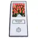Califronia 24 Rosas Caja Blanca