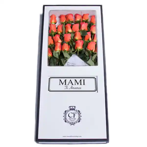Califronia 24 Rosas Caja Blanca
