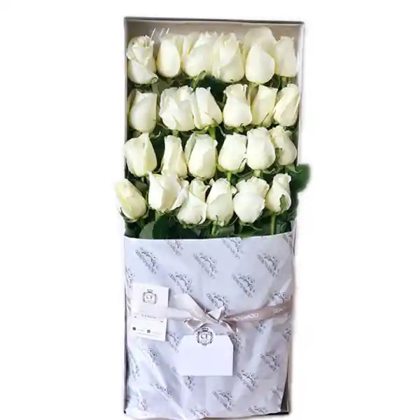 Celeste 24 Rosas - Caja Blanca