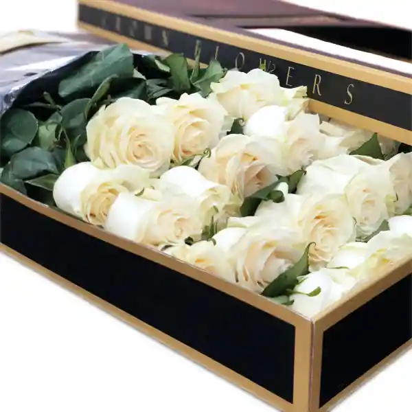 Celeste 24 Rosas - Caja Negra