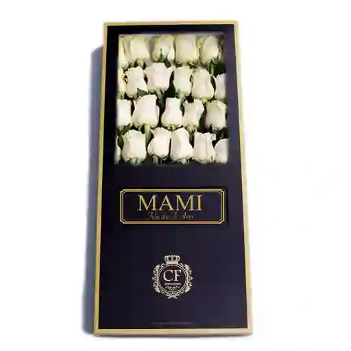 Celeste 24 Rosas - Caja Negra