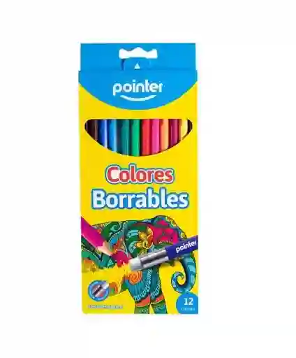 Color Pointer X12