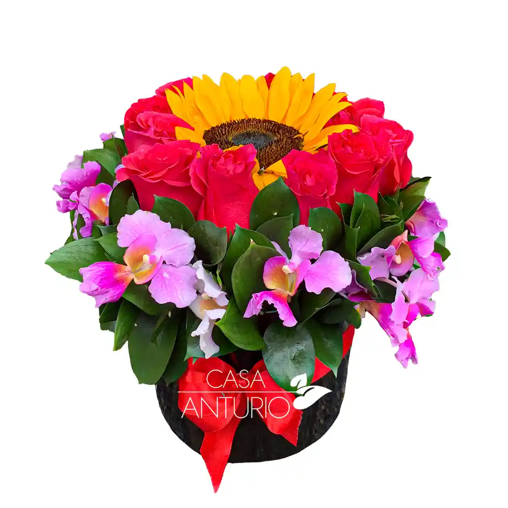 Caja Con Rosas, Girasol Y Orquidea Hawaiana