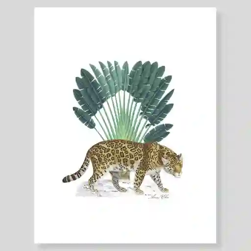 Lámina/ Afiche Escribana Jaguar Para Enmarcar. -tamaño: 28 X 21,5cm -marco No Incluido