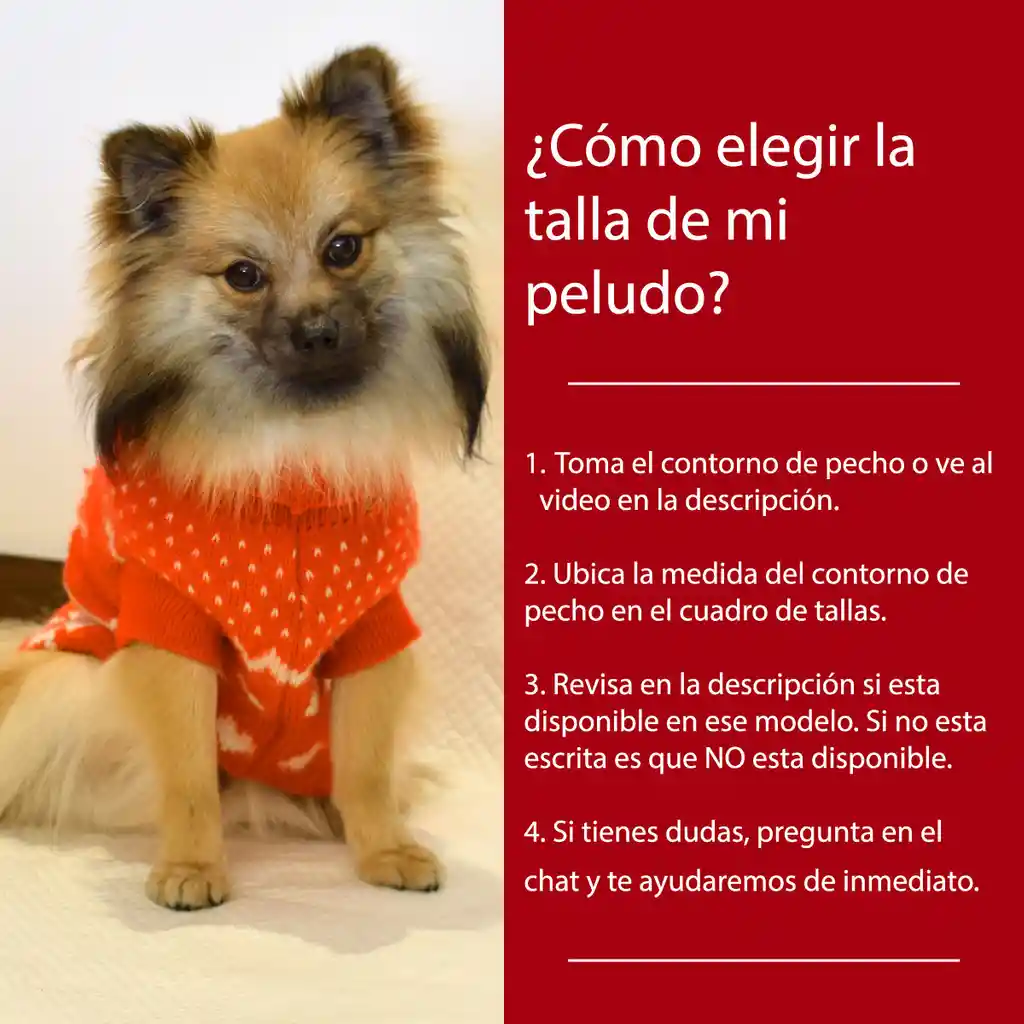 Ropa Para Perro O Gato Saco Sweater Rojo Con Capota Y Hebilla