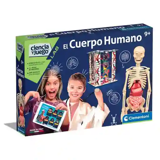 Modelo Anatómico De Cuerpo Humano Educativo Niños Steam