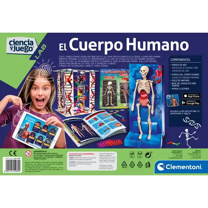 Modelo Anatómico De Cuerpo Humano Educativo Niños Steam