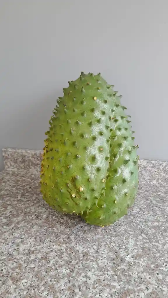 Pulpa De Guanabana