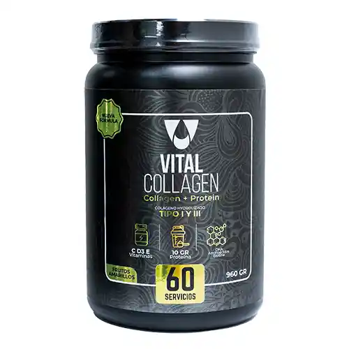 Vital Collagen 60 Serv