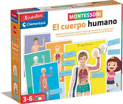 Juego Didáctico Montessori Aprendiendo El Cuerpo Humano Niño