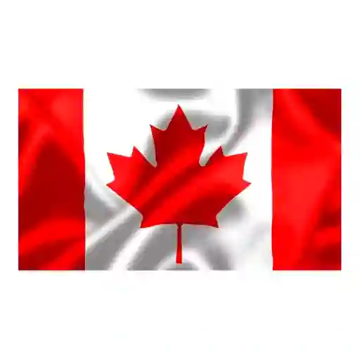 Bandera Canada 1.50x90cm Exterior Grande