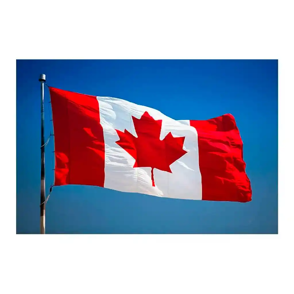 Bandera Canada 1.50x90cm Exterior Grande