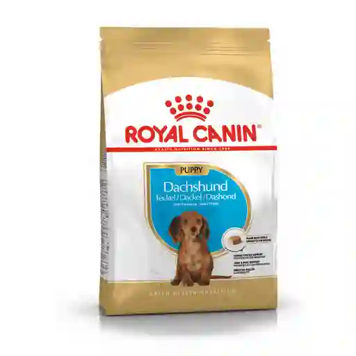 Rc Bhn Dachshund Pup 1.13kg