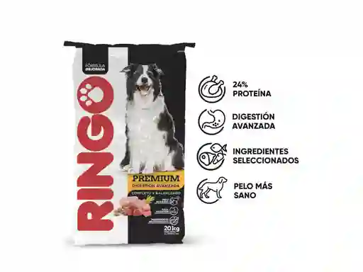 Ringo Premium Digestion Avanzada Perro Adulto X 20kkg