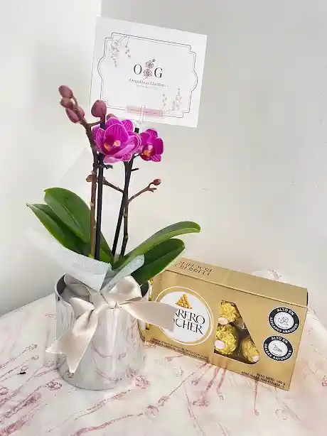 Orquideas Minis Base Cromada + Ferreros X 8