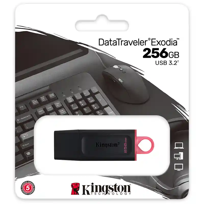 Memoria Usb 3.2 Kingston Datatraveler Exodia 256gb