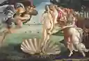 Rompecabezas 2000 Piezas Adulto Obra Arte Botticelli Venus