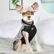 Camisa Keegan Con Capucha Para Perro Talla L Negra