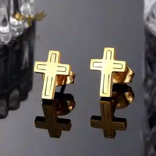 Aretes En Acero Diseño De Cruz Labrada .