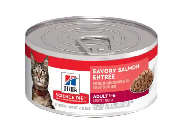 Hills Lata Gato Adulto -salmon X 5.5oz-156gr