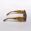 Gafas De Sol Avatar Print