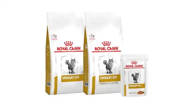 Royal Canin Gatos Urinary So 1.5kg