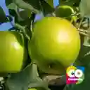 Manzana Verde Por 6 Unidades