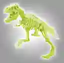 Juguete Fósil De Esqueleto Dinosaurio T Rex Niños