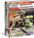 Juguete Fósil De Esqueleto Dinosaurio Velociraptor Niños