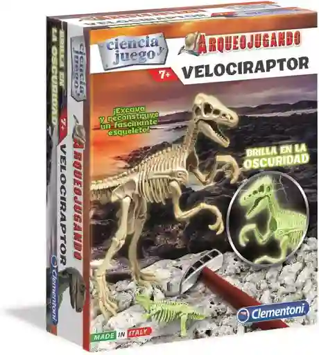 Juguete Fósil De Esqueleto Dinosaurio Velociraptor Niños