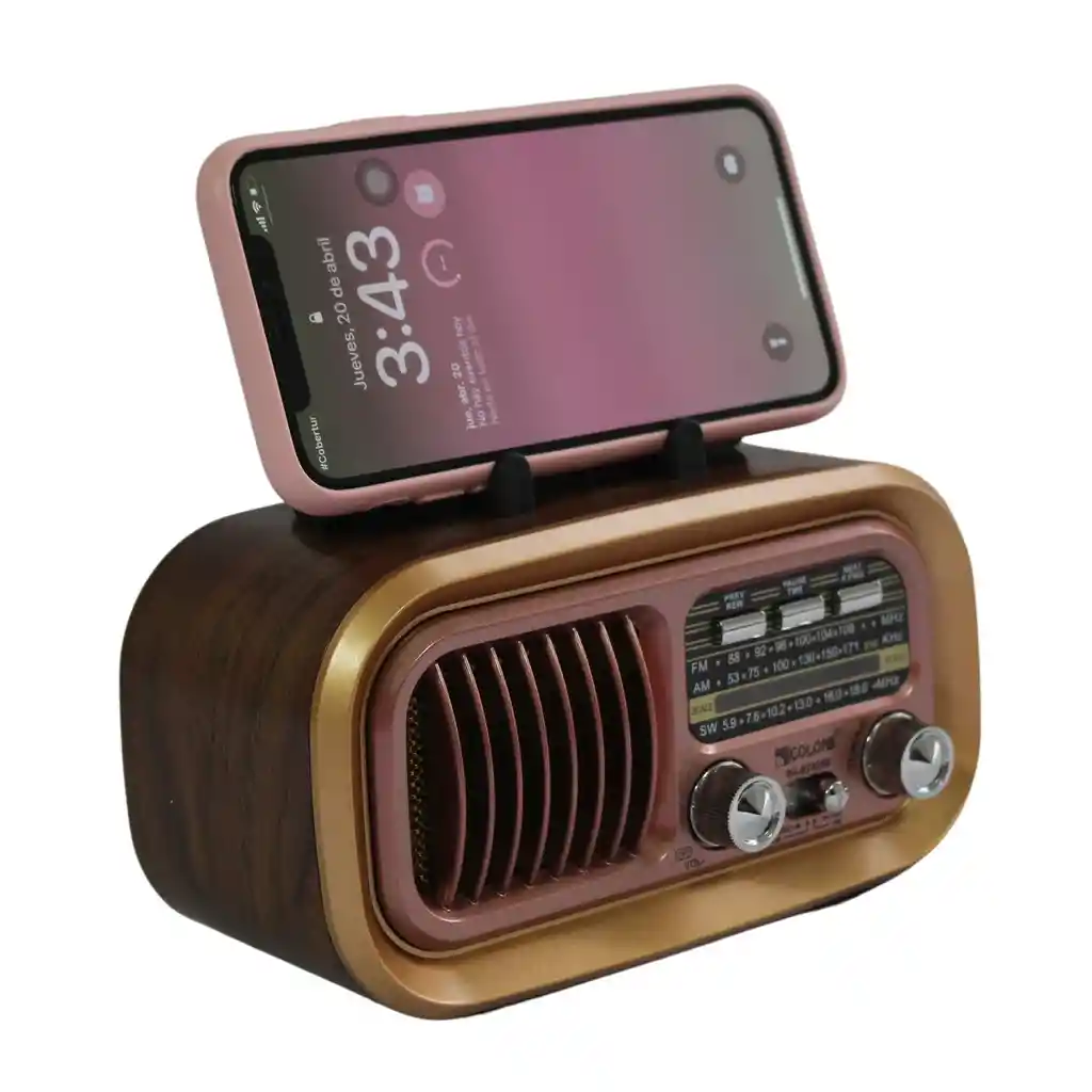 Radio Bluetooth Parlante Recargable Con Usb Y Radio Fm