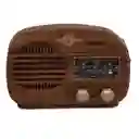 Radio Bluetooth Parlante Recargable Con Usb Y Radio Fm