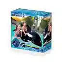 Flotador Piscina Inflable Bestway 41009 Ballena Orca Dayoshop