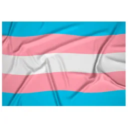 Bandera Transgenero 1mtr X1.5mt Orgullo Trans Exterior