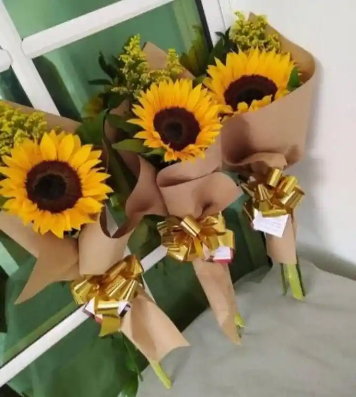 Girasoles 3x1