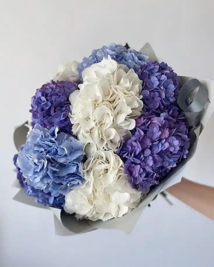 Hortensias Del Cielo