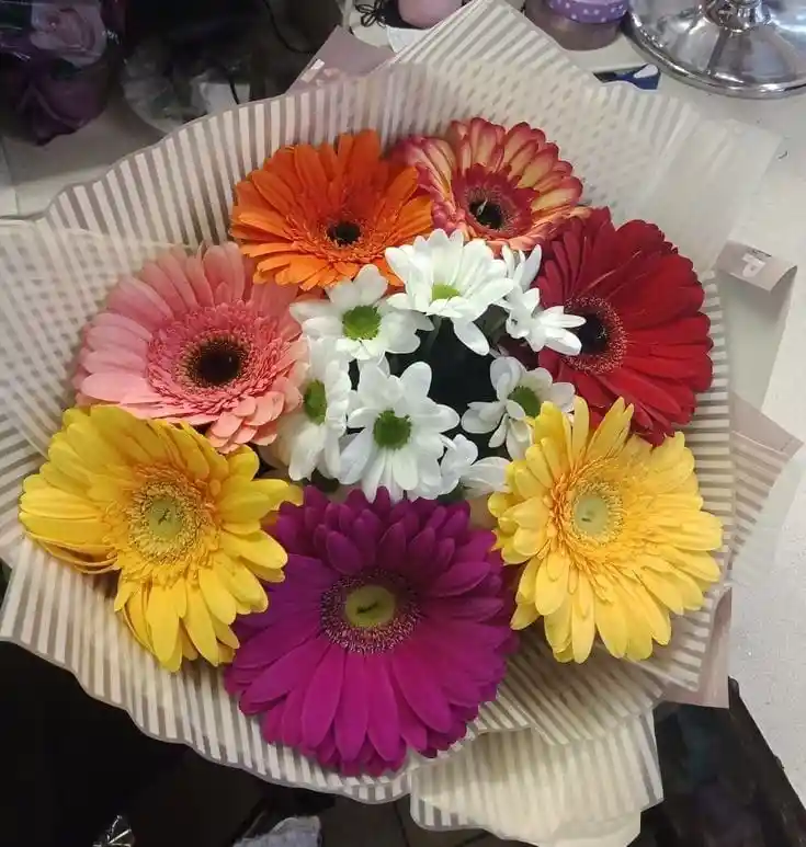 Gerberas Consentidas