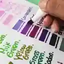 Marcador Permanente Pointer Doble Punta X 48 Colores.