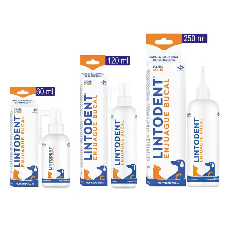 Lintodent Enguaje 250ml