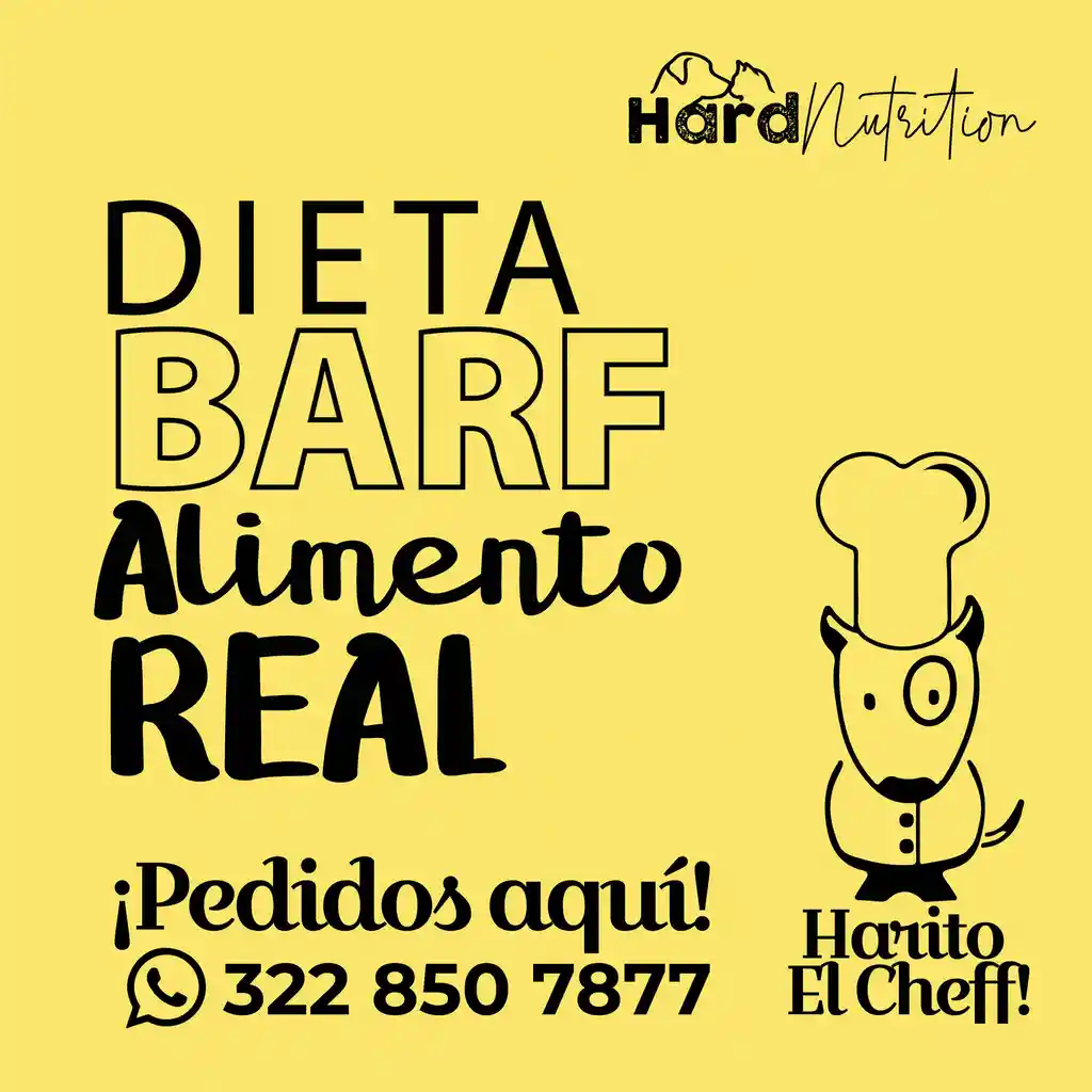 Kilo Barf Receta Mixta